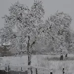 Semesterbostad Gite La Clef Des Champs