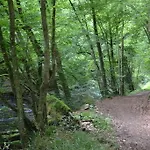 Gite La Clef Des Champs Libin