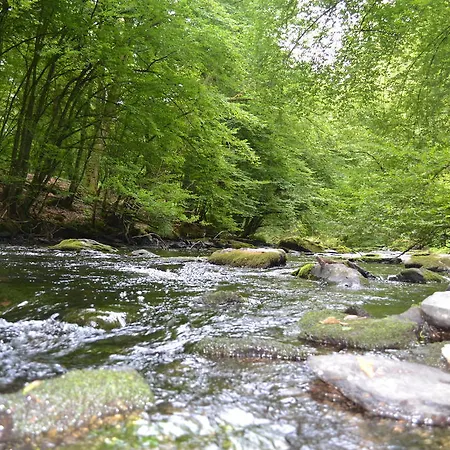 Gite La Clef Des Champs Libin