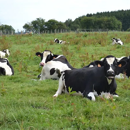 Gite La Clef Des Champs Дом отдыха