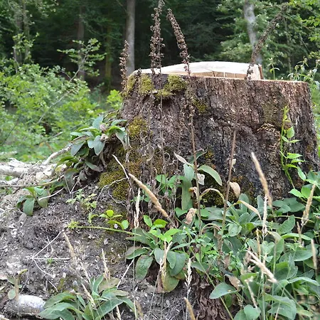 Gite La Clef Des Champs