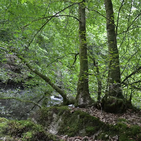 Дом отдыха Gite La Clef Des Champs Libin