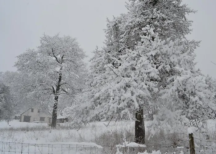 La Clef Des Champs * Libin