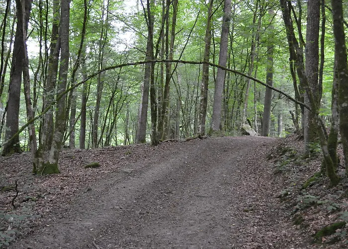 La Clef Des Champs Libin