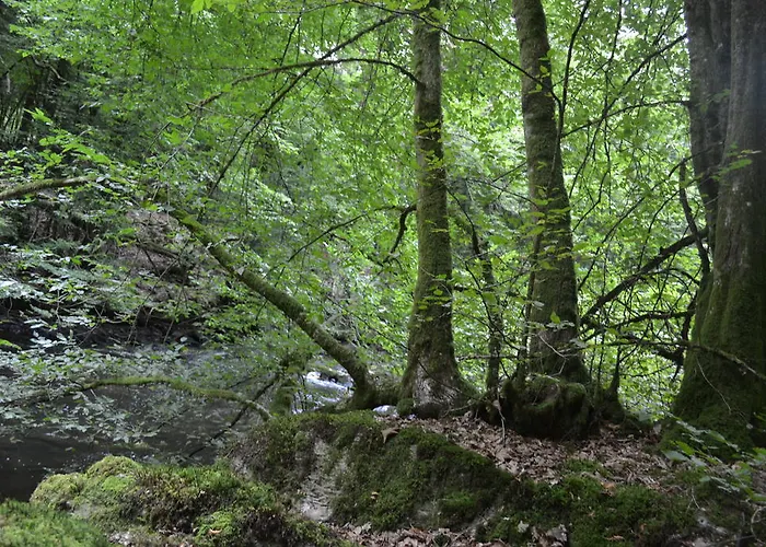 Prázdninový dům La Clef Des Champs Libin
