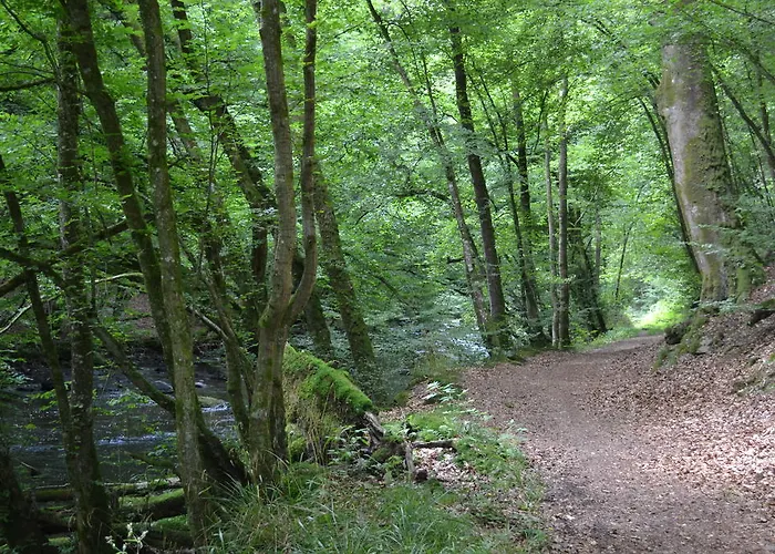 La Clef Des Champs Libin