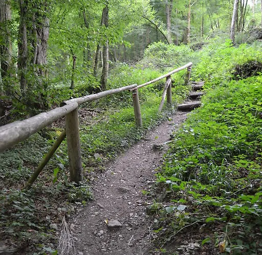 La Clef Des Champs Libin